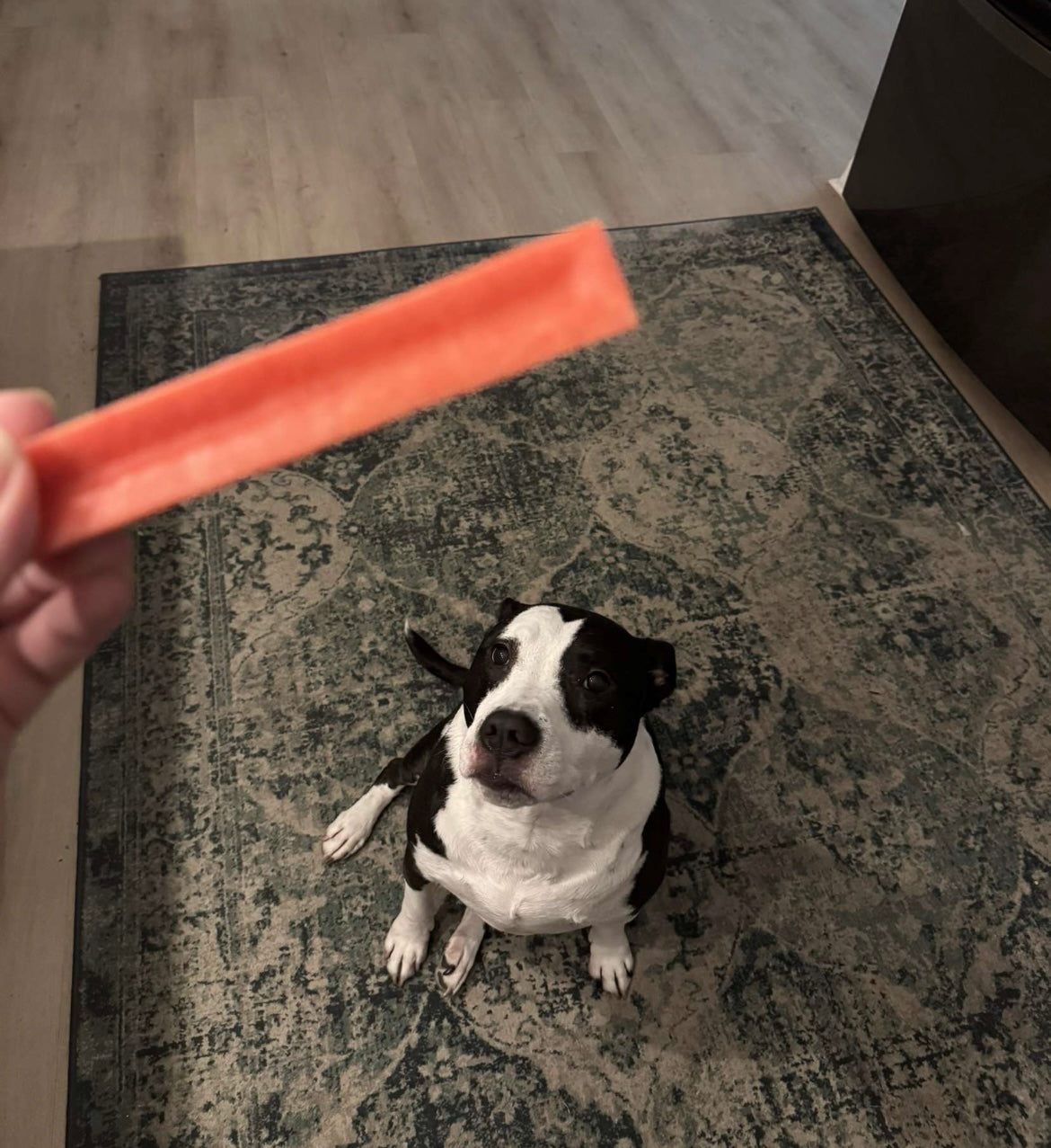 Blueberry Yak Chews: Large