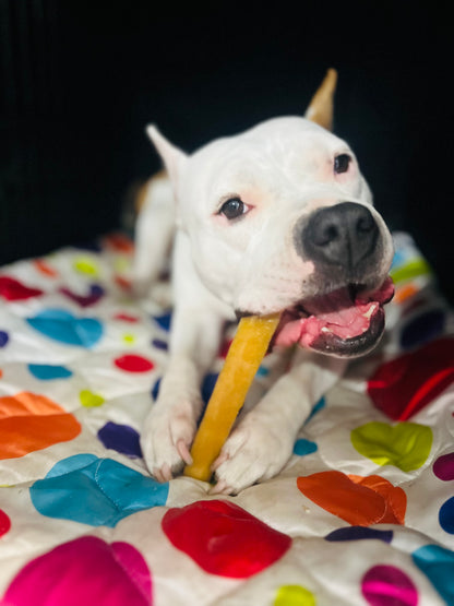 XXL Yak Chews - 5 oz