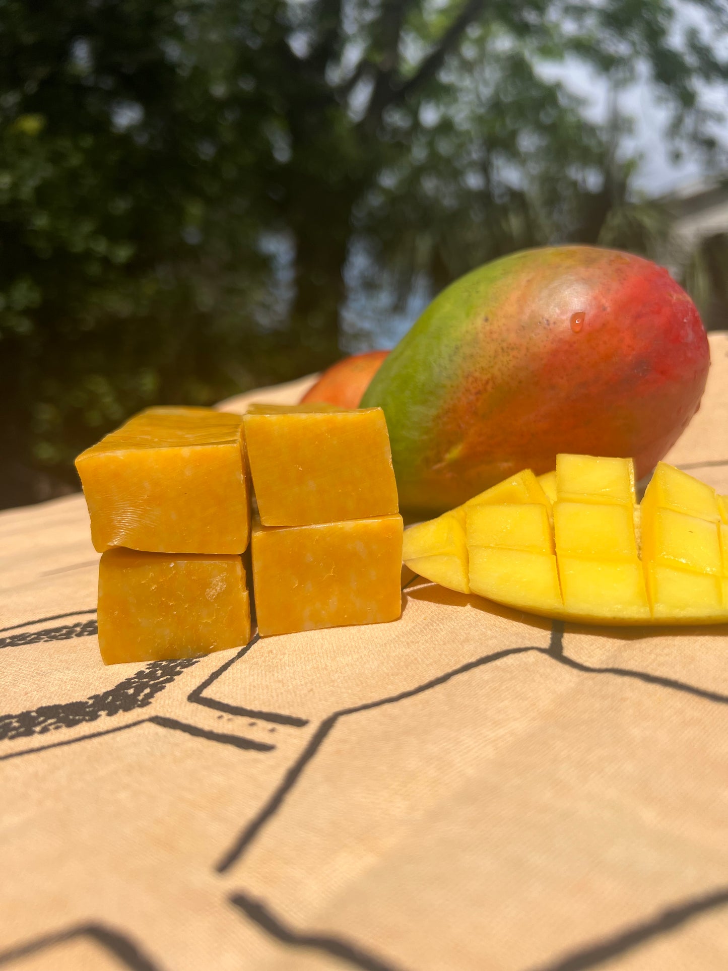 Mango Yak Chews: Large