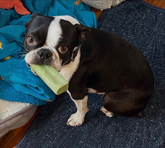 Mint Yak Chews: Large